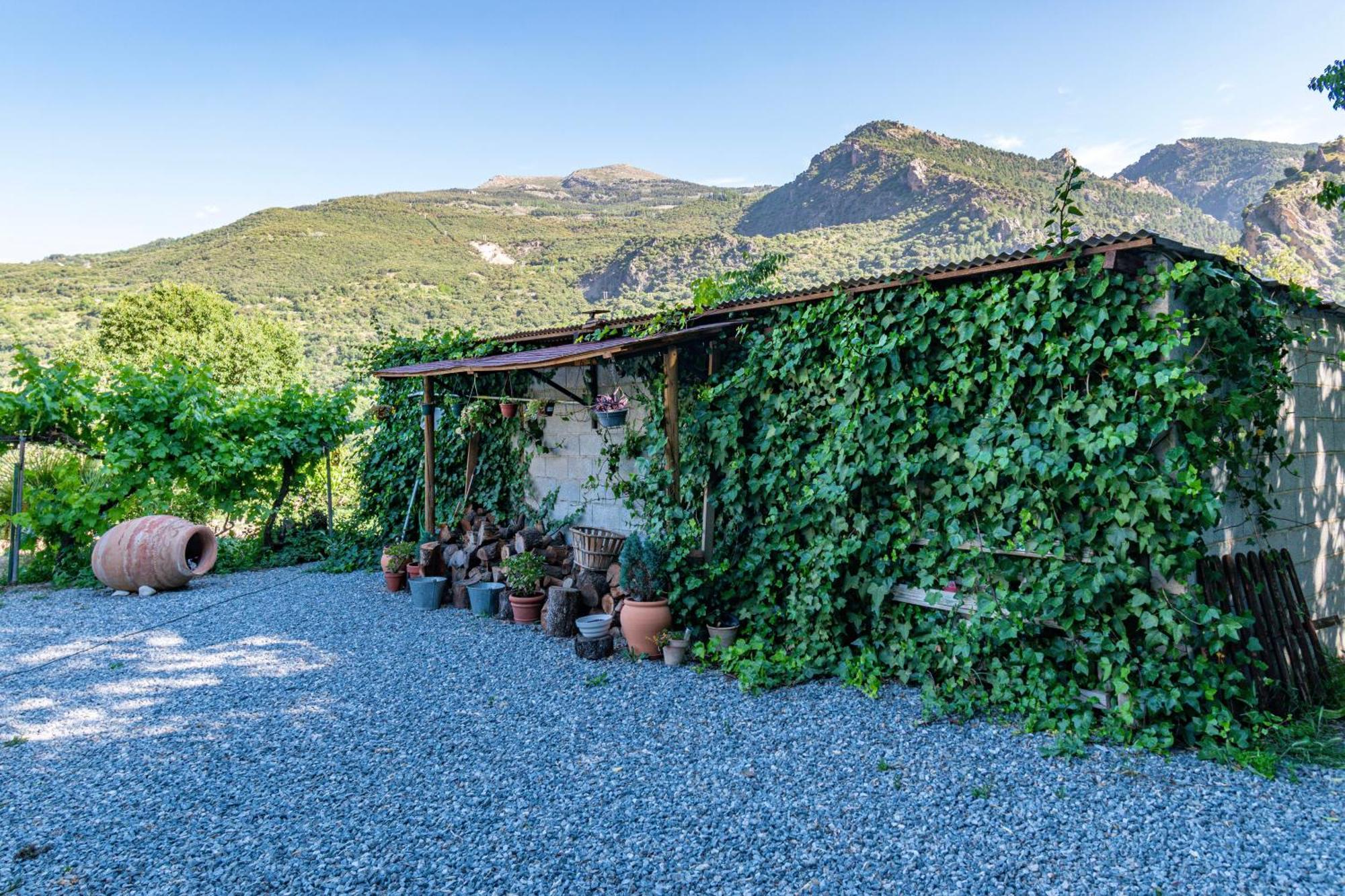 Casa Rural Olivillas Garden-Sierra Nevada 圭哈尔谢拉 外观 照片